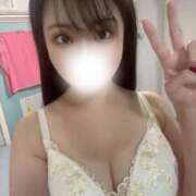 ヒメ日記 2025/07/26 07:22 投稿 もも 若葉