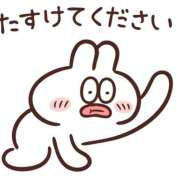 ヒメ日記 2025/12/31 06:31 投稿 もも 若葉