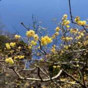 みこと もうすぐ春？ ハピネス東京