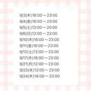 ヒメ日記 2026/09/03 12:38 投稿 みこと ハピネス東京