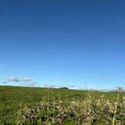 ヒメ日記 2025/12/17 10:37 投稿 ここな　清楚×美乳 ちょこMOCA