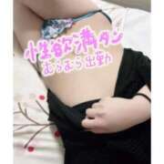 ヒメ日記 2026/01/28 15:07 投稿 ここな　清楚×美乳 ちょこMOCA