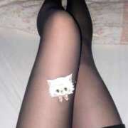 ヒメ日記 2026/02/01 20:21 投稿 ななか スピード難波店