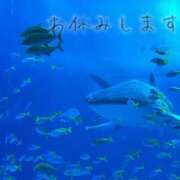 ヒメ日記 2025/10/11 14:33 投稿 沙苗(さなえ) 札幌人妻マドンナ