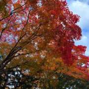 ヒメ日記 2025/10/29 15:19 投稿 沙苗(さなえ) 札幌人妻マドンナ