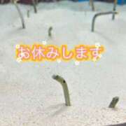 ヒメ日記 2025/11/07 14:18 投稿 沙苗(さなえ) 札幌人妻マドンナ