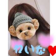 ヒメ日記 2025/09/08 20:51 投稿 れいな 熟女の風俗最終章 宇都宮店