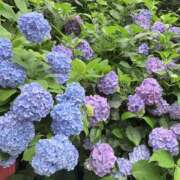 ヒメ日記 2025/06/25 23:45 投稿 あこ 大久保ハンドメイド