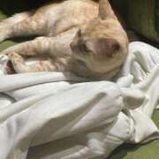 ヒメ日記 2025/08/17 07:30 投稿 叶恋（かこ） 女々艶 大和店