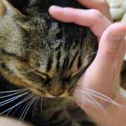 ヒメ日記 2025/07/01 12:47 投稿 荒木鈴那 五十路マダム 沼津店(カサブランカグループ)