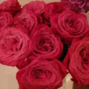 ヒメ日記 2025/09/19 22:06 投稿 一葉みれい 皇帝別館（こうていべっかん）