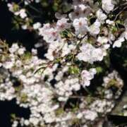 ヒメ日記 2026/03/10 22:16 投稿 一葉みれい 皇帝別館（こうていべっかん）