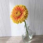 ヒメ日記 2025/05/21 07:12 投稿 奈々子-ななこ- 人妻倶楽部 花椿北上店