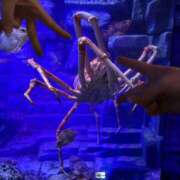 ヒメ日記 2025/09/07 00:26 投稿 ねね イエローキャブ