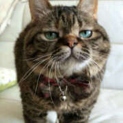 ヒメ日記 2025/11/14 03:00 投稿 ねね イエローキャブ