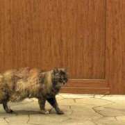 ヒメ日記 2025/11/21 13:16 投稿 ねね イエローキャブ