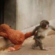 ヒメ日記 2026/02/24 15:31 投稿 ねね イエローキャブ