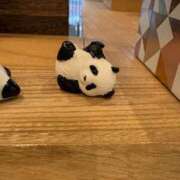 ヒメ日記 2026/03/12 10:13 投稿 ねね イエローキャブ