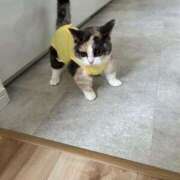 ヒメ日記 2026/04/04 00:44 投稿 ねね イエローキャブ