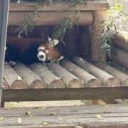 ヒメ日記 2026/04/05 15:10 投稿 ねね イエローキャブ