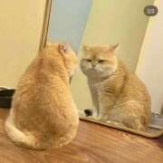 ヒメ日記 2026/04/15 23:51 投稿 ねね イエローキャブ