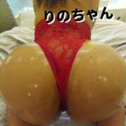 ヒメ日記 2025/05/23 11:00 投稿 りの 沼津人妻花壇