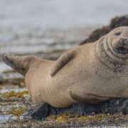 ヒメ日記 2025/08/02 17:42 投稿 かおり りんくう泉佐野ちゃんこ