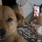 ヒメ日記 2025/08/23 10:52 投稿 かおり りんくう泉佐野ちゃんこ