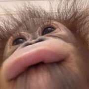 ヒメ日記 2025/12/26 13:42 投稿 かおり りんくう泉佐野ちゃんこ