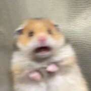 ヒメ日記 2026/01/01 12:42 投稿 かおり りんくう泉佐野ちゃんこ