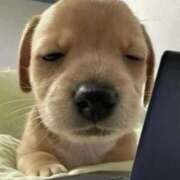 ヒメ日記 2026/01/03 15:52 投稿 かおり りんくう泉佐野ちゃんこ