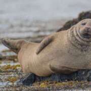 ヒメ日記 2026/02/08 23:02 投稿 かおり りんくう泉佐野ちゃんこ