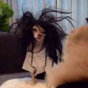 ヒメ日記 2026/03/27 01:32 投稿 かおり りんくう泉佐野ちゃんこ