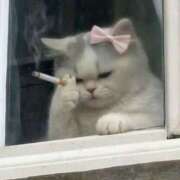 ヒメ日記 2026/03/29 04:02 投稿 かおり りんくう泉佐野ちゃんこ