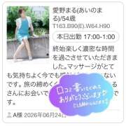 ヒメ日記 2026/07/10 00:02 投稿 愛野まる 五十路マダム エクスプレス京都店