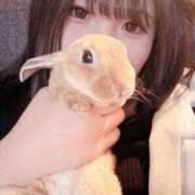 ヒメ日記 2025/08/14 22:04 投稿 レモン Club Hearts