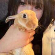 ヒメ日記 2025/09/27 14:17 投稿 レモン Club Hearts