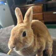 ヒメ日記 2025/09/29 23:23 投稿 レモン Club Hearts