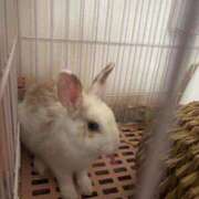 ヒメ日記 2025/10/02 01:52 投稿 レモン Club Hearts