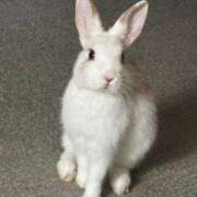 ヒメ日記 2025/10/02 23:14 投稿 レモン Club Hearts