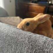 ヒメ日記 2025/10/05 21:58 投稿 レモン Club Hearts