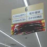 ヒメ日記 2025/05/15 12:06 投稿 こゆき アラカルト