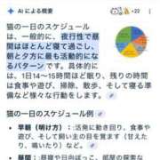 ヒメ日記 2025/06/08 13:55 投稿 こゆき アラカルト