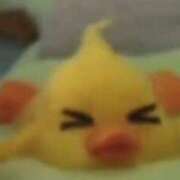 ヒメ日記 2025/07/07 13:34 投稿 こゆき アラカルト