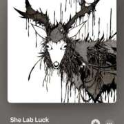 ヒメ日記 2025/07/11 15:22 投稿 こゆき アラカルト