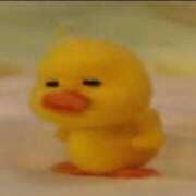 ヒメ日記 2025/07/13 08:57 投稿 こゆき アラカルト