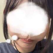 ヒメ日記 2025/07/15 17:32 投稿 こゆき アラカルト