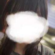 ヒメ日記 2025/07/17 12:31 投稿 こゆき アラカルト