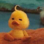 ヒメ日記 2025/07/18 23:14 投稿 こゆき アラカルト