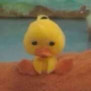 ヒメ日記 2025/07/19 09:53 投稿 こゆき アラカルト